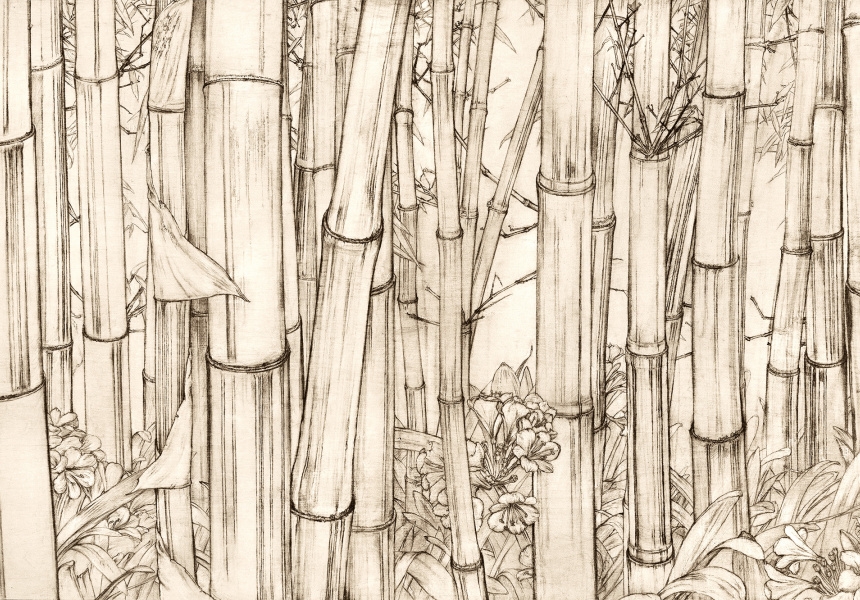 Black bamboo
